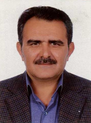 Mohsen Raeiszadeh