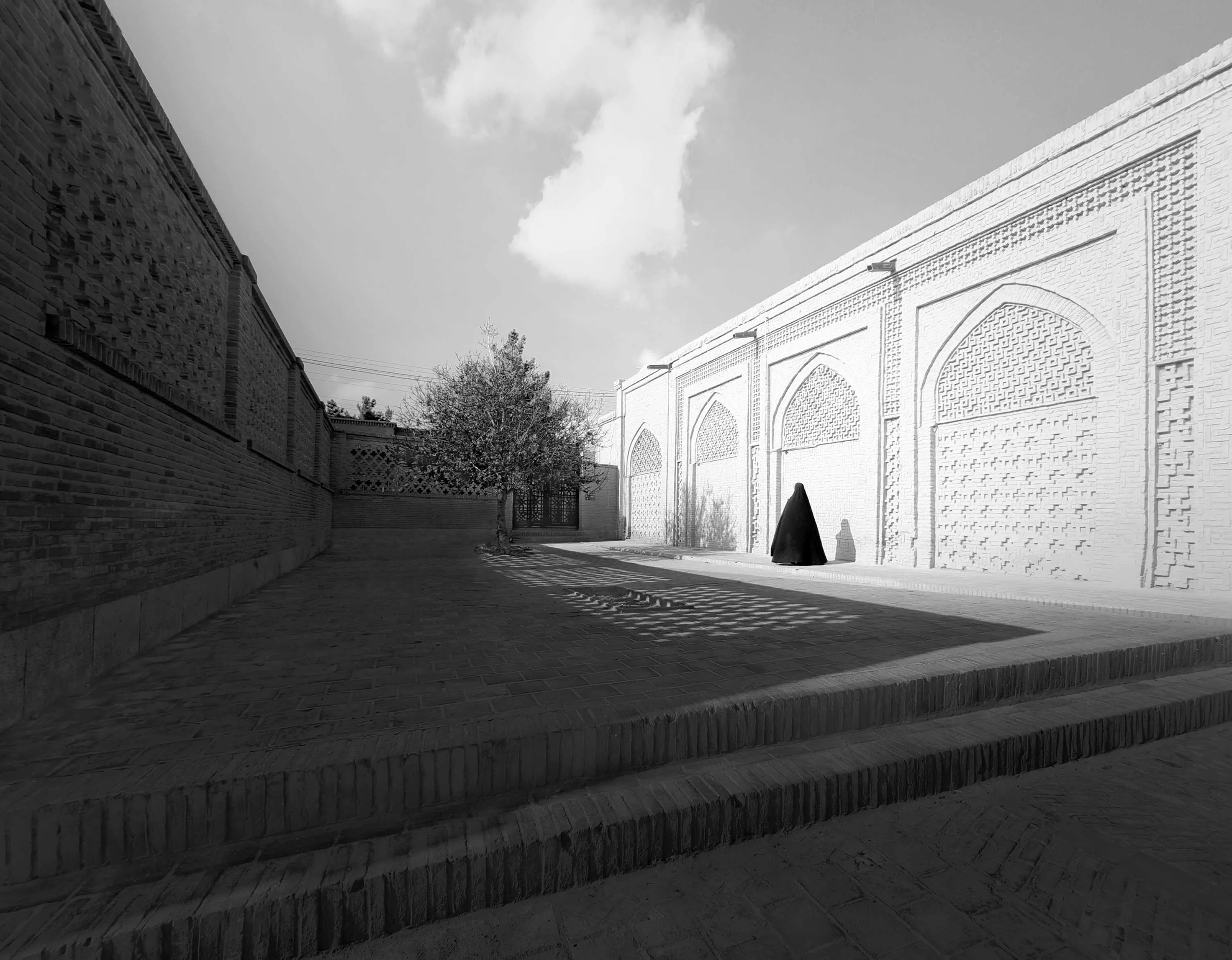 Between Shadow and Light