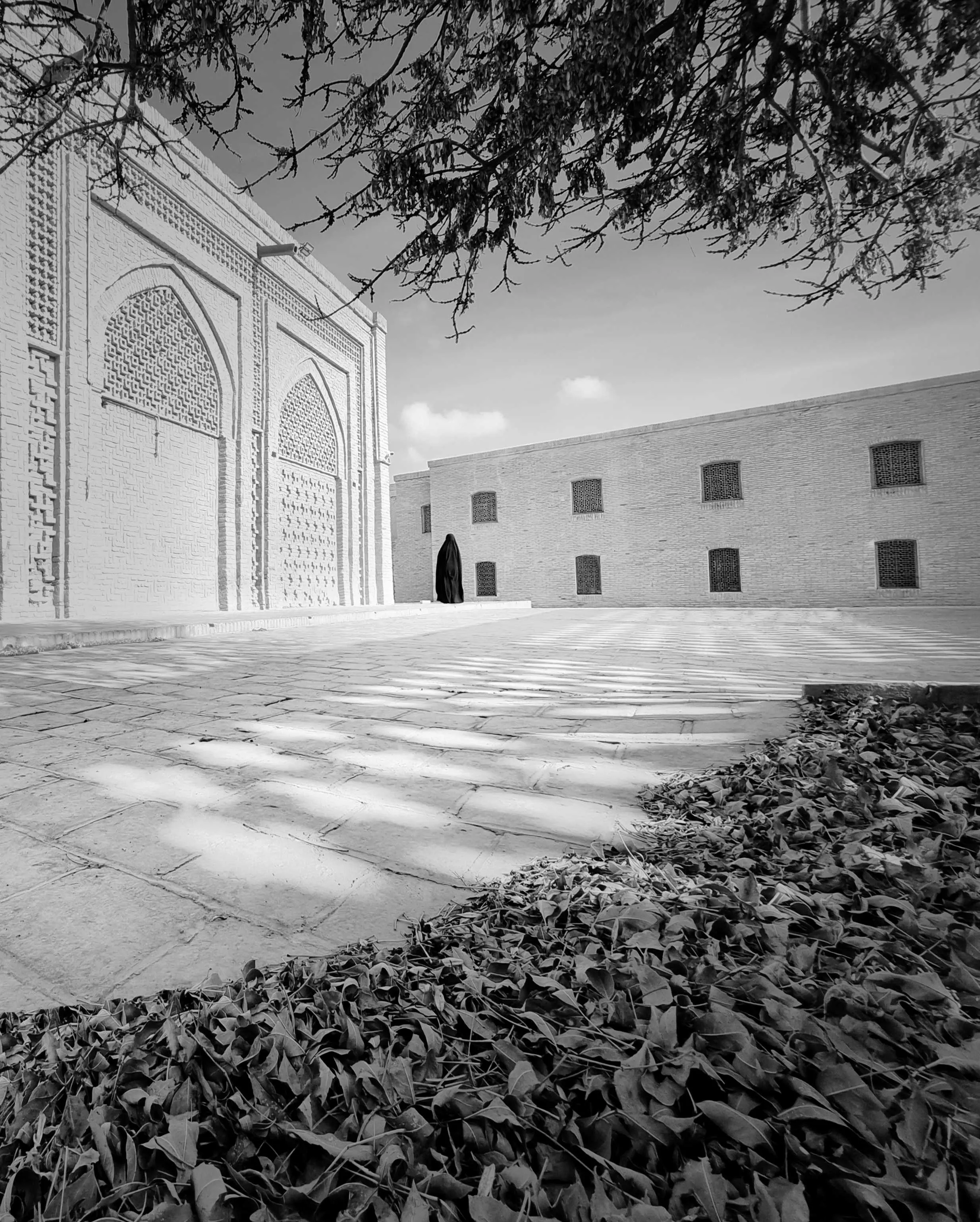 Where Silence Settles