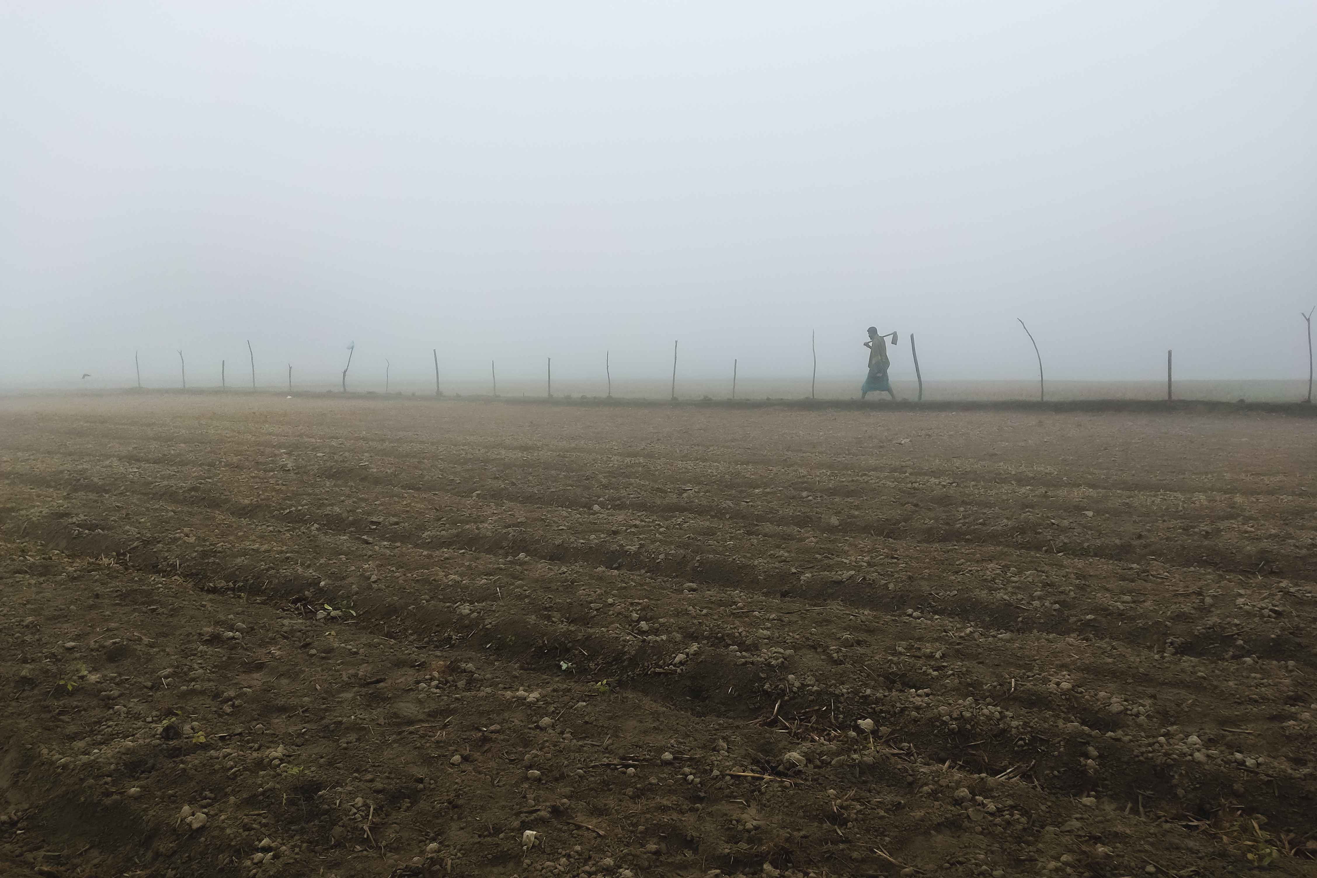 A farmer in winter morning. 