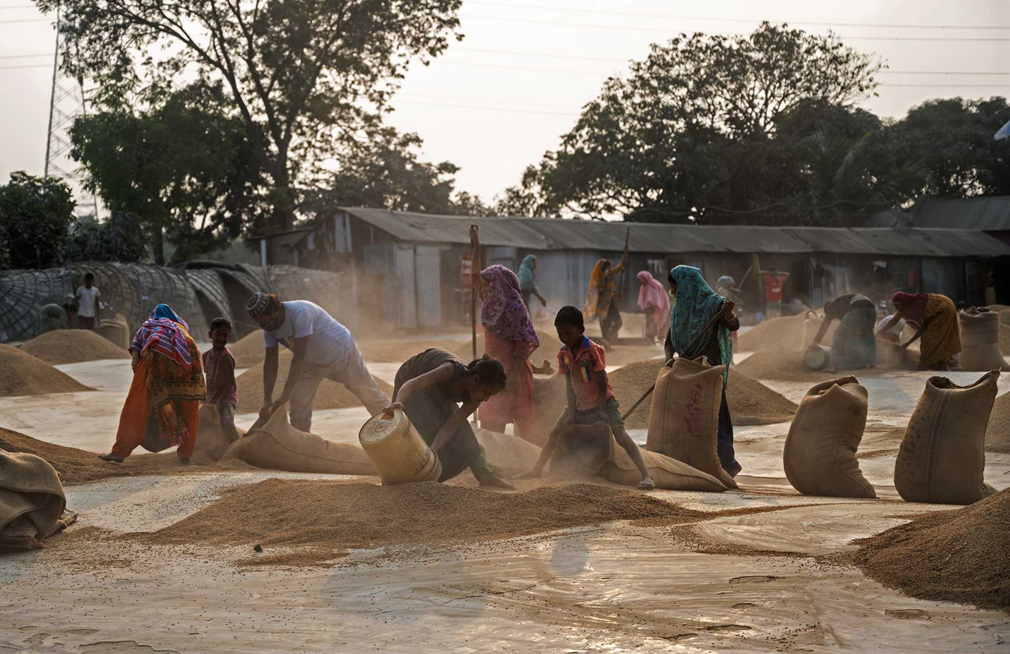 Child in a Rice Mill